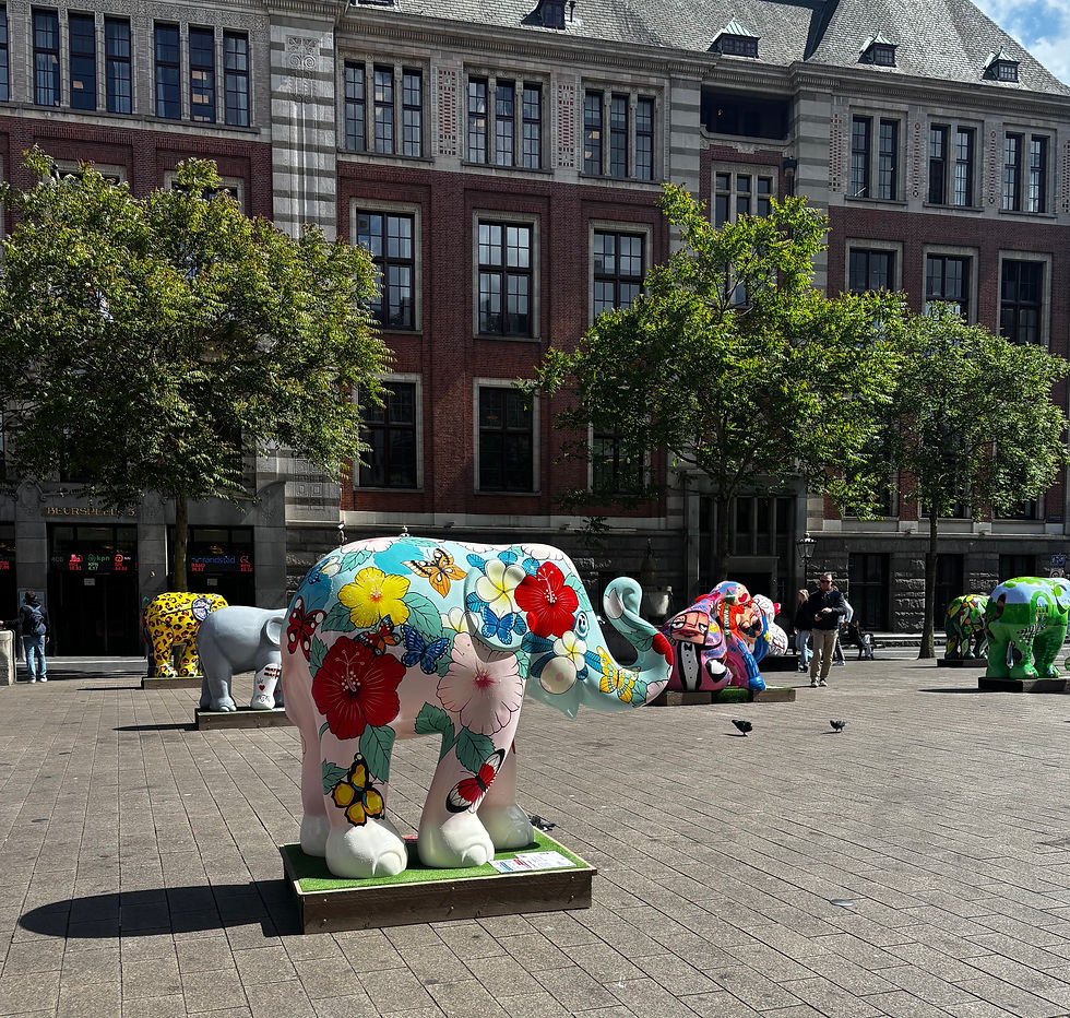 Art Across International Borders