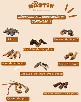 NOUVEAUTÉS de la semaine-4_edited.jpg