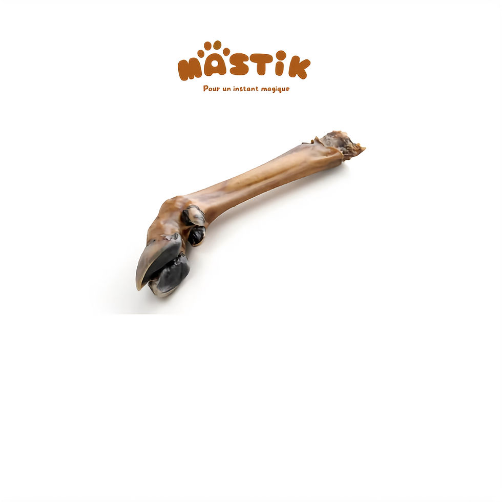 Jambe de cerf sans poils