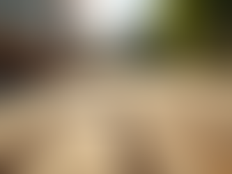 Affordable Deck Repair Services: Deck Repairs Cost Estimates