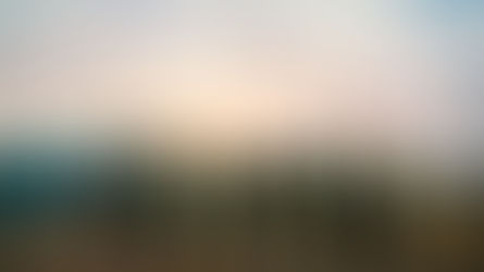 Education Grants for Adults: How to Fund Your Degree for Free