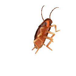a6c77c6148c6f62354f07a1749685b65.gif