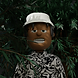 256.png