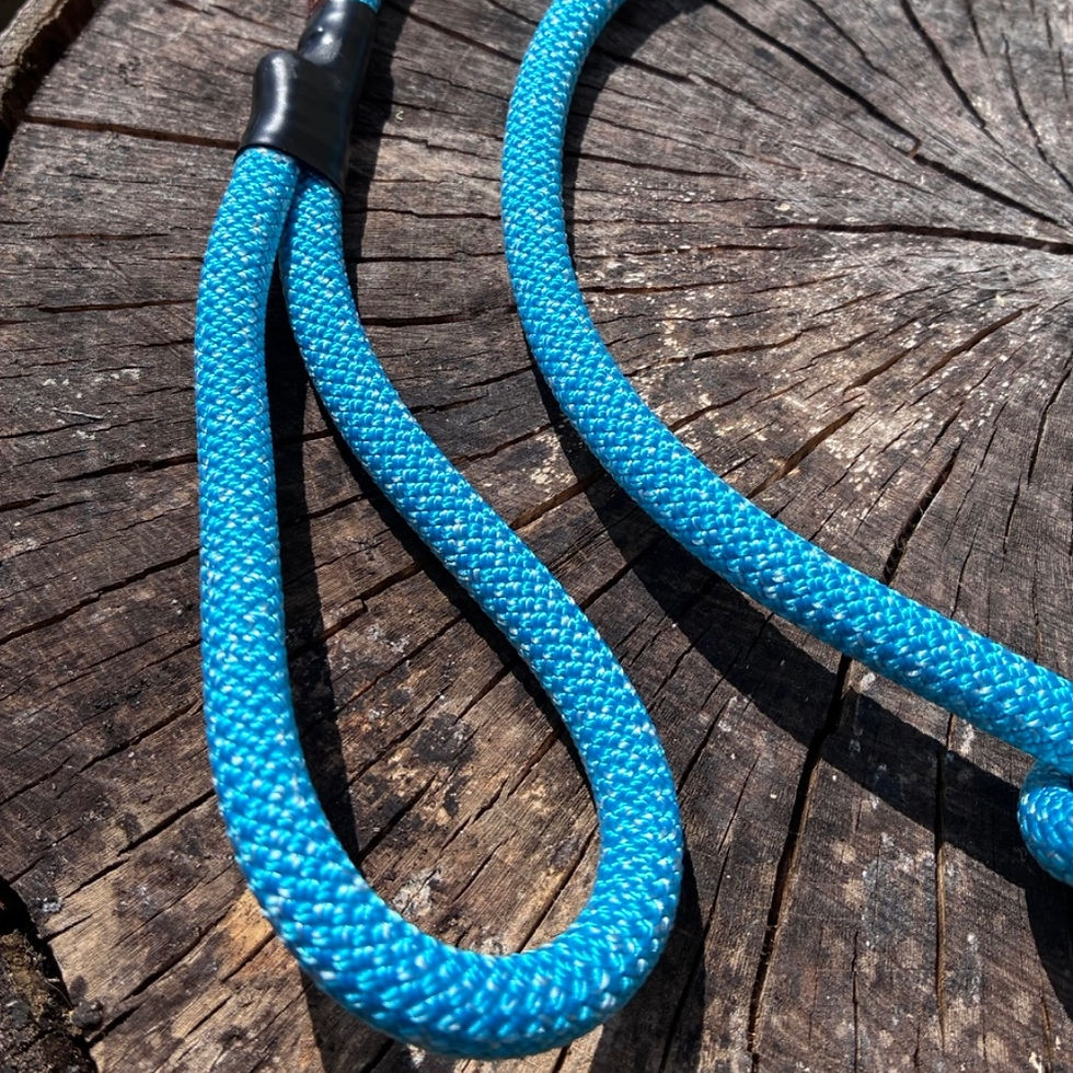 Close up of Sky Blue slip lead on a log