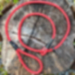 Red rope dog slip lead on a stump