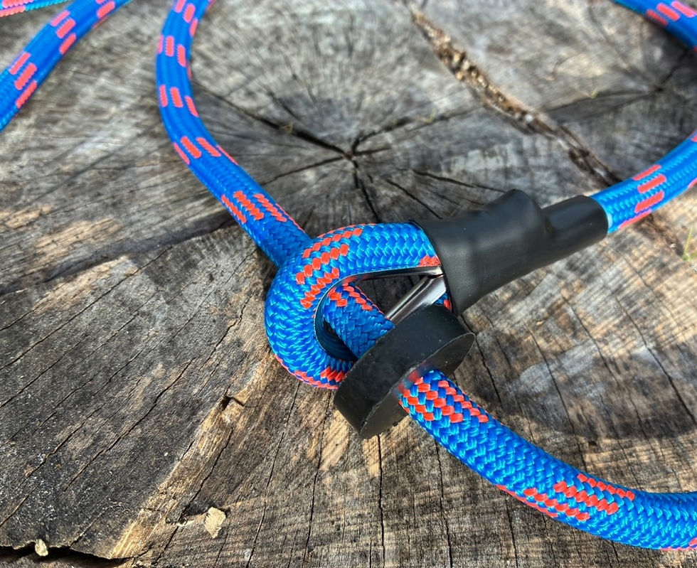 Thumbnail: Blue slip lead on a stump