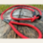 Red rope dog slip lead on a stump