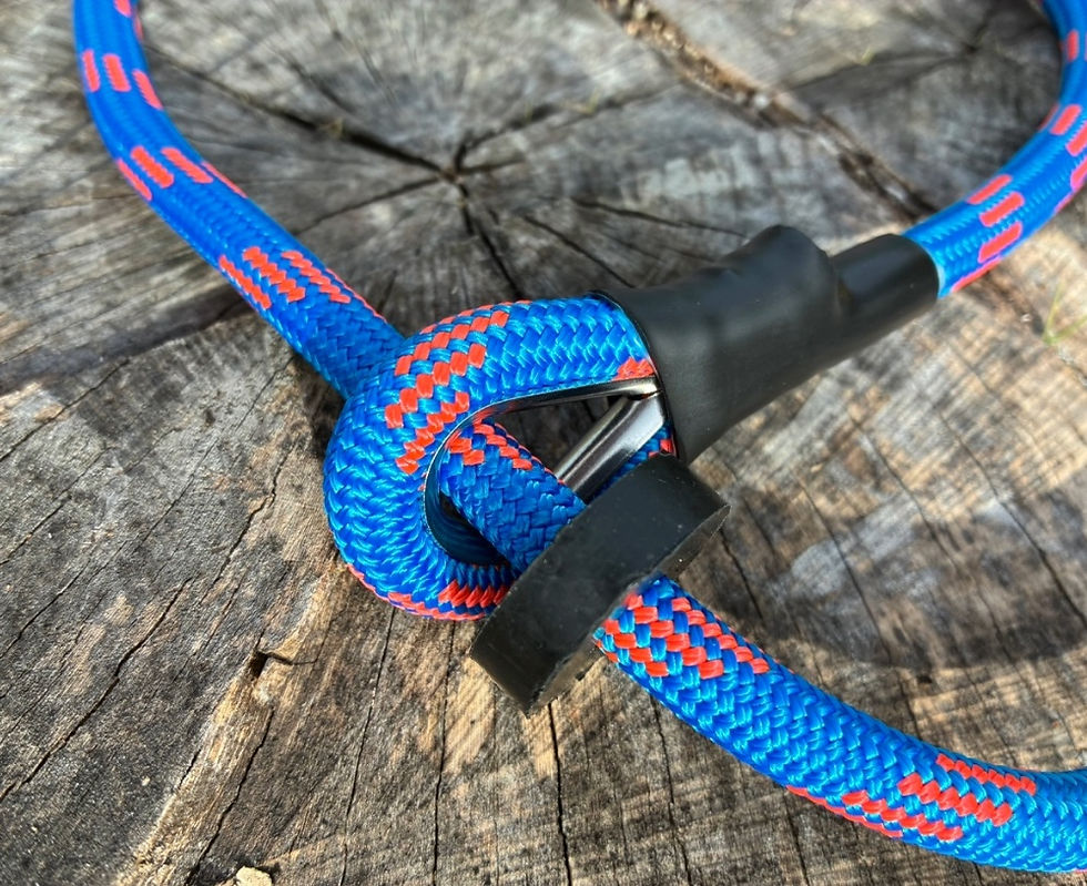 Thumbnail: Blue slip lead on a stump