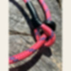 Pink slip lead on a log