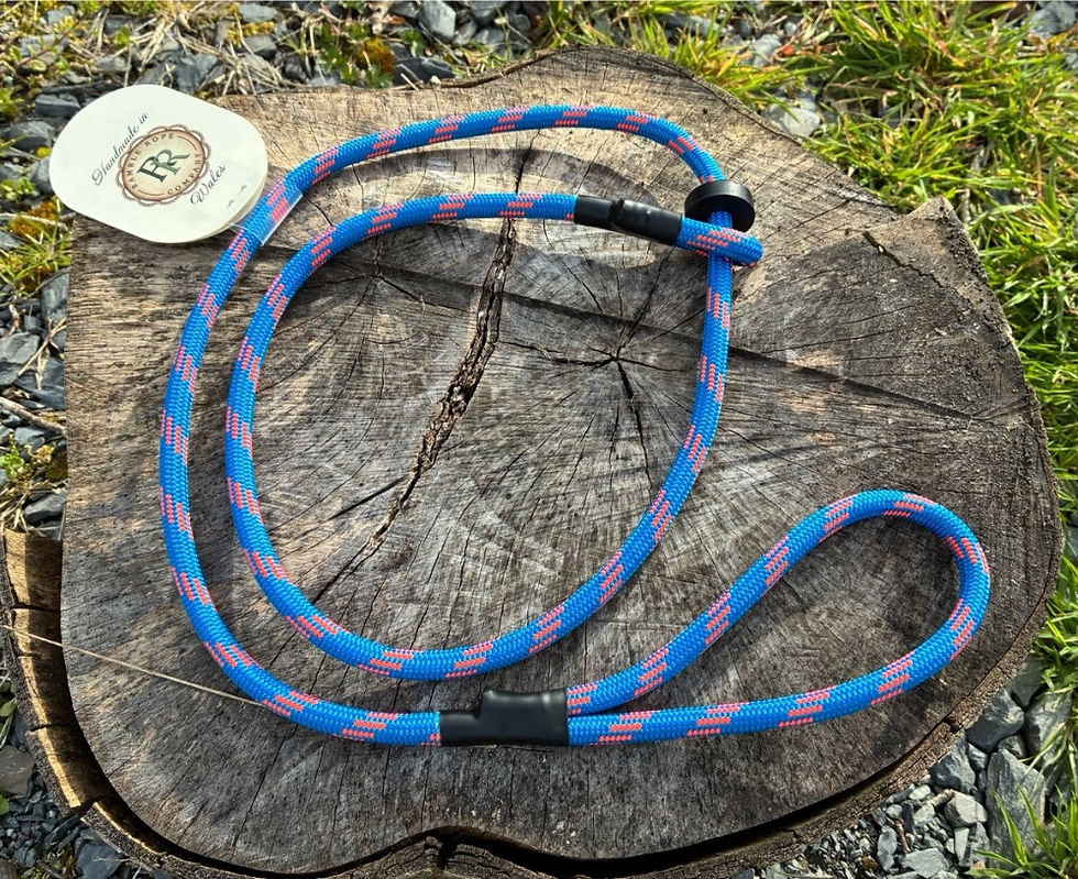 Thumbnail: Blue slip lead on a stump