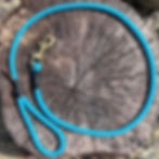 Light blue clip lead on a log with a brass clip