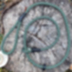 Dog slip lead on a log