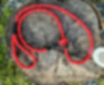 Red and orange slip lead on a log