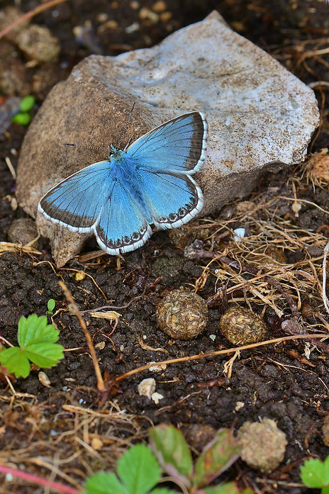 DSC_8080.JPG