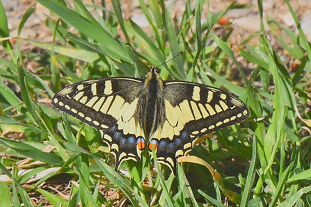 DSC_0101_edited.jpg