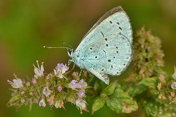 DSC_4416.JPG