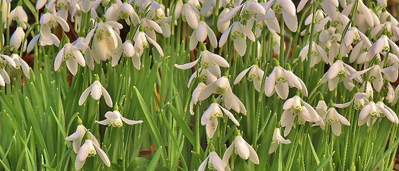 DSC_5149 (1024x441).jpg