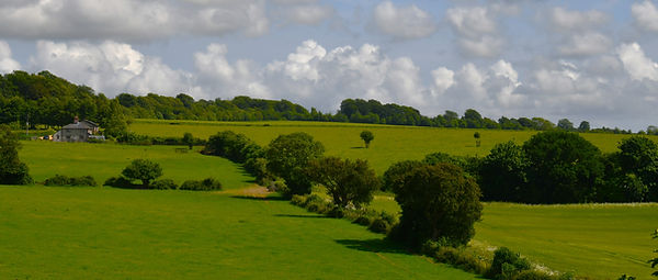 DSC_1001.JPG