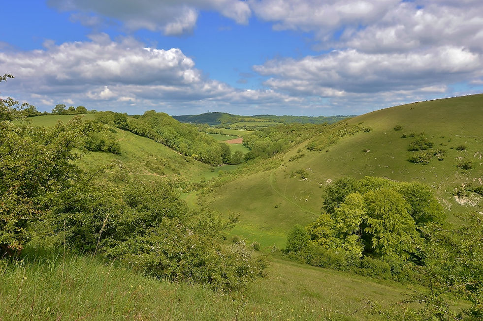 Butser Hill and Ramsdean Down and the Meon Valley.jpg