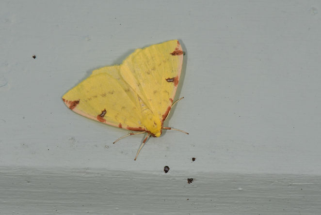 DSC_0399.JPG