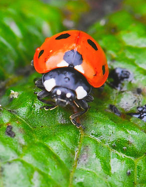 DSC_0842_edited.jpg