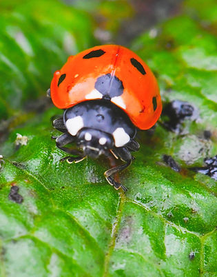 DSC_0842_edited.jpg