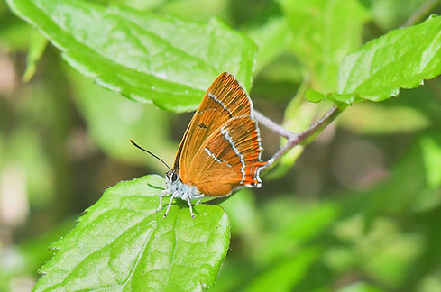 DSC_1715_edited.jpg