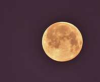 DSC_4564 (683x1024).jpg