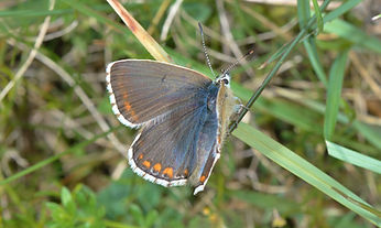 DSC_2413.JPG