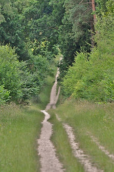 DSC_5546 (683x1024).jpg