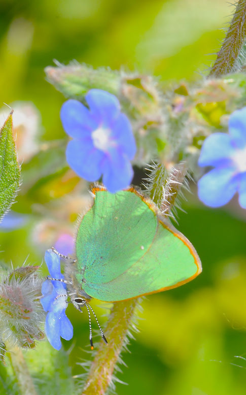DSC_0511.JPG