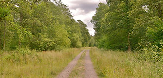 DSC_4580.JPG