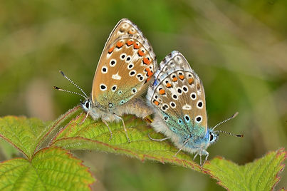 DSC_6941 (1024x683).jpg