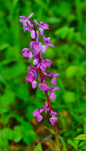 DSC_8320.JPG