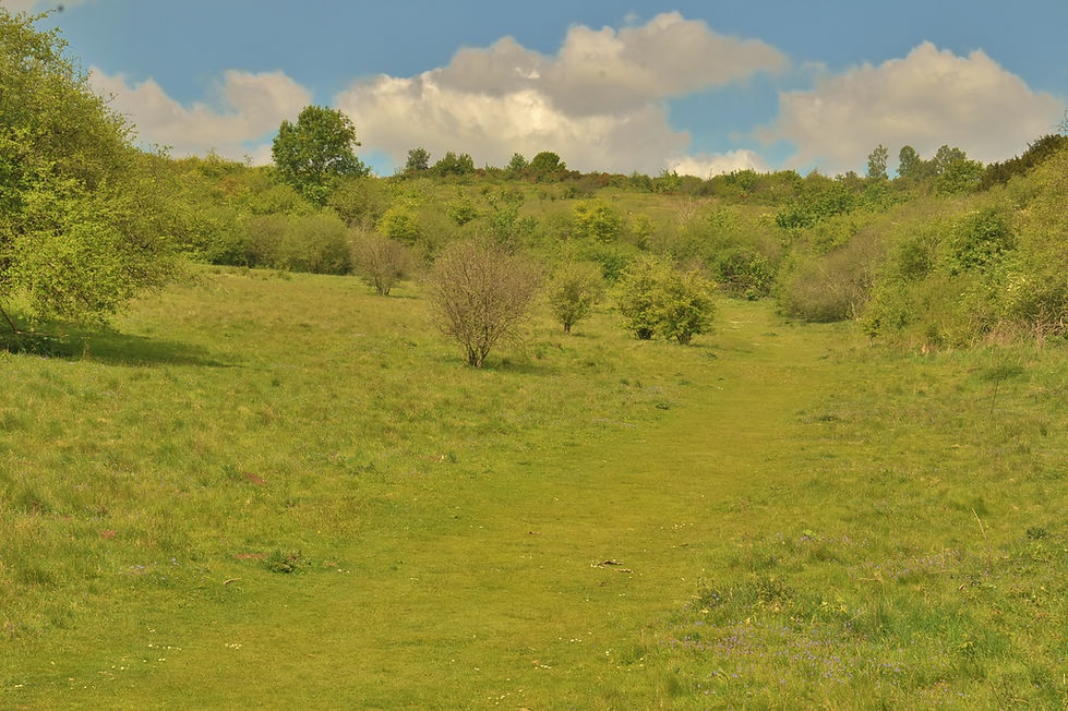 DSC_9742.JPG
