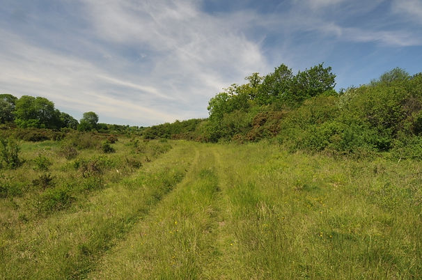 Martin Down Kitts Grave (1024x680).jpg