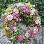 20180924_083558(1).jpg
