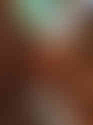 wooden structural engineering