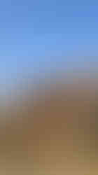 WhatsApp Image 2026-03-03 at 9.40.54 AM (1)