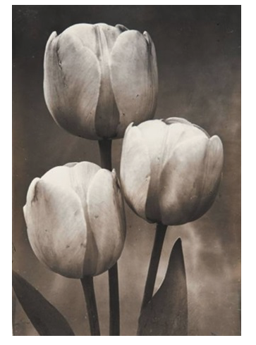 CHARLES JONES