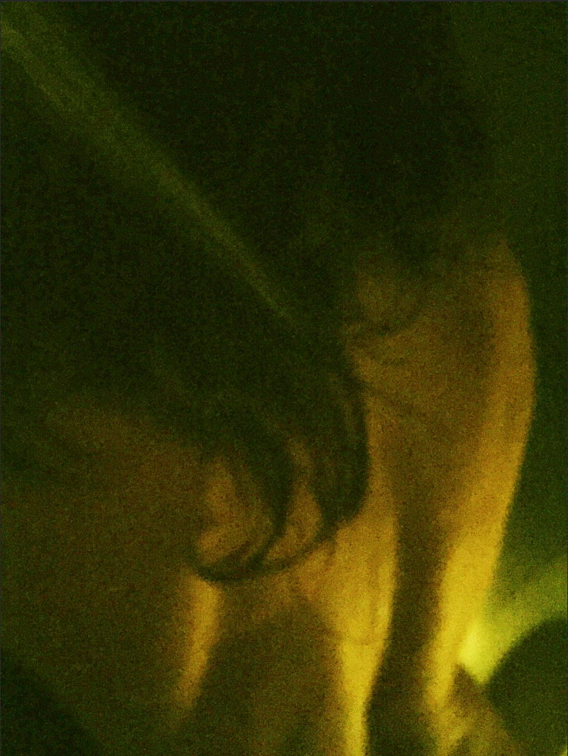 Lagorre Marlat, Nuits Fauves n°3, Paris 2016