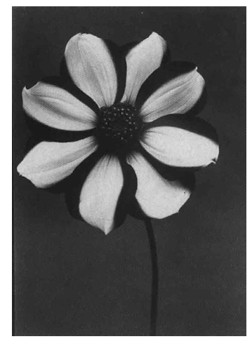 CHARLES JONES