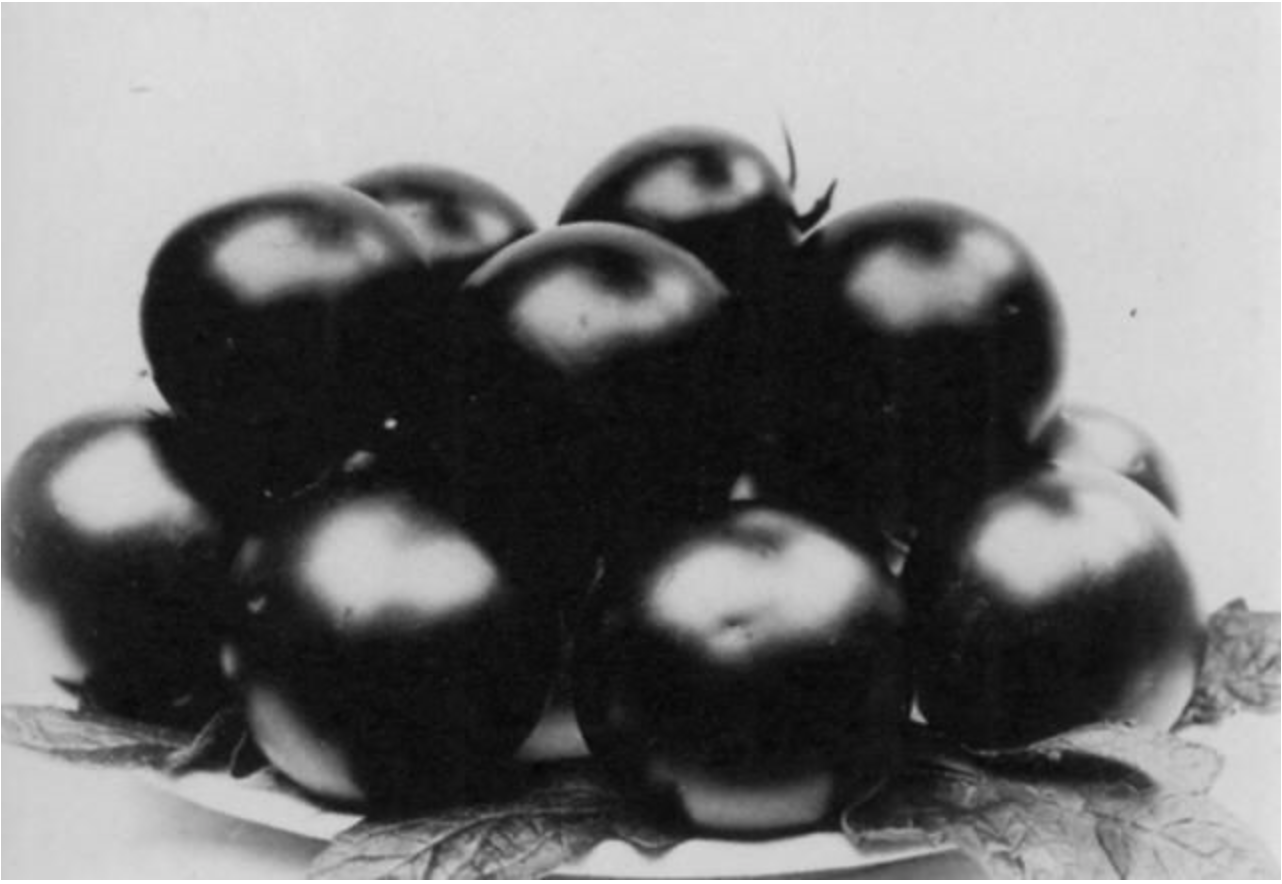 CHARLES JONES