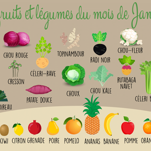 [G O O D   T O   K N O W] - Les végétaux de Janvier