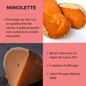 [F O C U S   D A Y] - La Mimolette