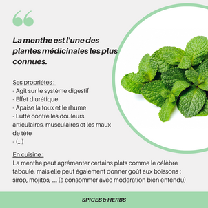 [S P I C E S  &  H E R B S] - La menthe