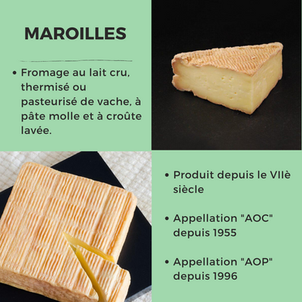 [F O C U S   D A Y] - Le Maroilles