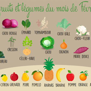 [G O O D   T O   K N O W] - Les fruits et légumes du mois de Février