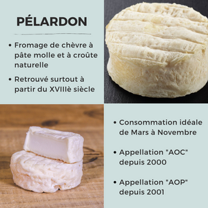 [F O C U S   D A Y] - Le Pélardon