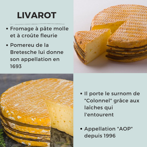 [F O C U S   D A Y] - Le livarot